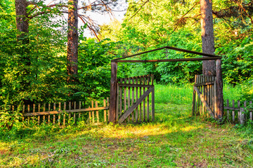 Old wooden gate in forest