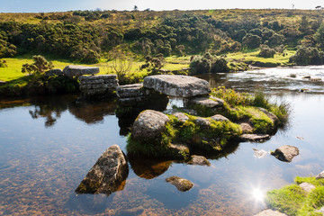 Bellever Dartmoor Devon