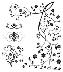 Set of floral decorative elements