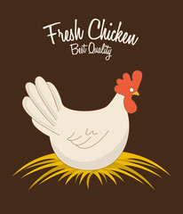 fresh chicken