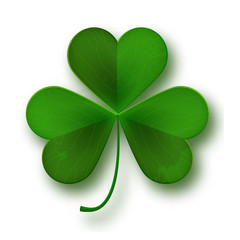 Saint Patricks Day shamrock leaf symbol isolated on white
