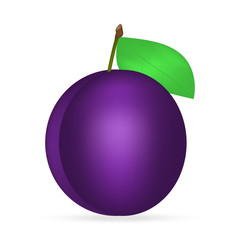 Get Started for Free