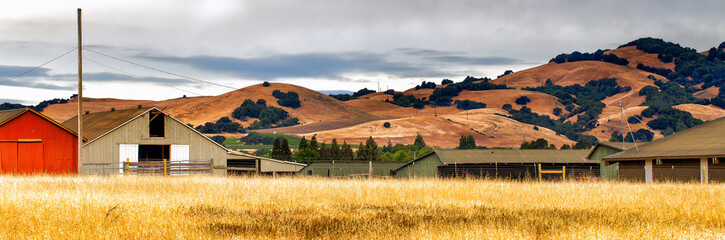 California landscape panorama with rolling golden hills
