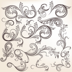 Collection of vector  hand drawn swirl ornaments in vintage styl