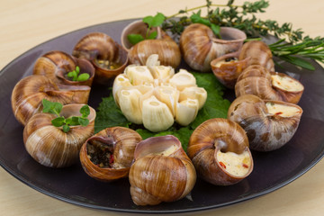 Escargot