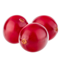 cranberry  isolated on white background cutout