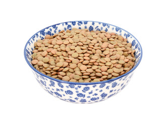 Green lentils in a blue and white china bowl