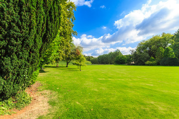 Countryside view of green field. Nature landscape