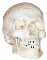 Fototapeta premium 의학과 의료기구