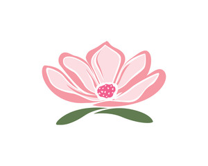 Fototapeta premium Magnolia