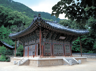 한국의 절