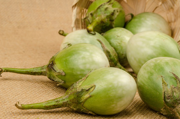 Eggplant