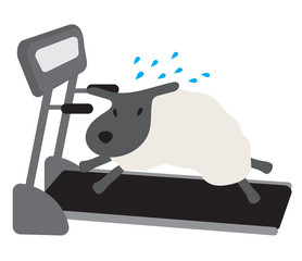 Sheep exercise