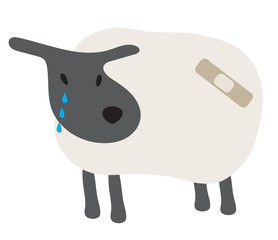 Sheep hurt