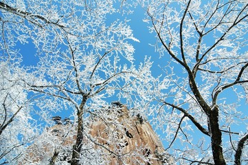 중국의 자연풍경