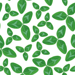 Clovers leaves seamless pattern