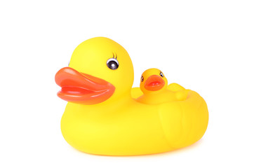 Plastic duck family isolated on white background