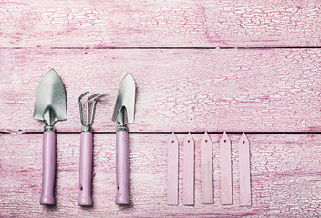 Gardening tools on old wooden background