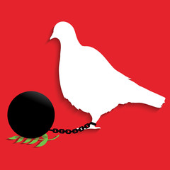 Pigeon Ball and chain