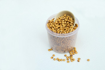 soy bean in plastic bowl
