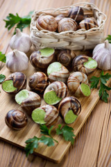 Escargots de Bourgogne, selective focus, shallow depth of field