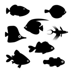 Fish silhouettes. Vector illustration.