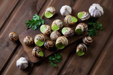 Bourguignonne snail au gratin over dark rustic wooden background