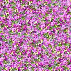 패턴 백그라운드