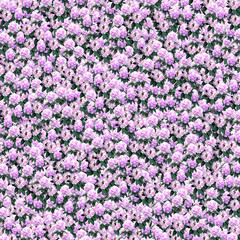 패턴 백그라운드