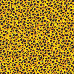 패턴 백그라운드