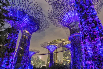Zelfklevend Fotobehang Supertree Grove at dawn in Singapore © takawildcats