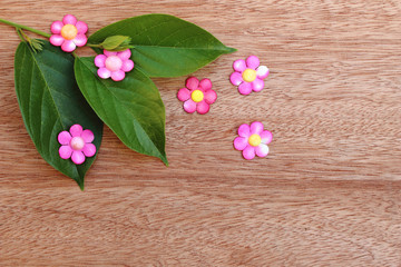 pink paper flower on wooden background