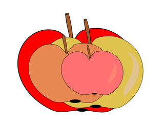 Colored apples isolated on white background