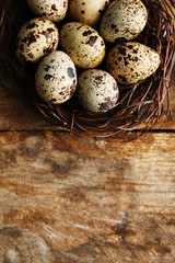 Obraz premium Bird eggs in nest on wooden background