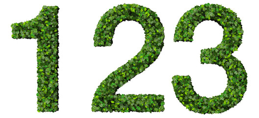 1 2 3 number made from green leaves isolated on background.