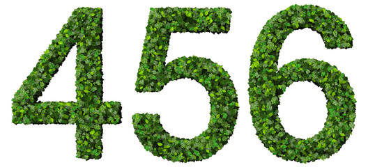 4 5 6 number made from green leaves isolated on background.
