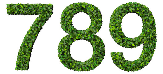 7 8 9 number made from green leaves isolated on background.