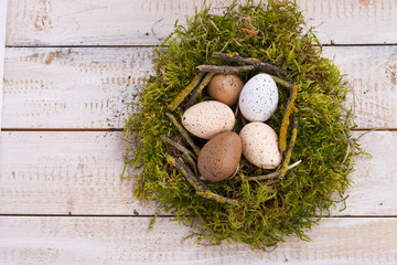 Fototapeta na wymiar Nest mit Moos und Eiern