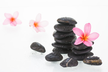 Fototapeta na wymiar Plumeria flowers and black stones with water droplets close-up