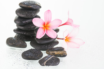 Plumeria flowers and wet black stones