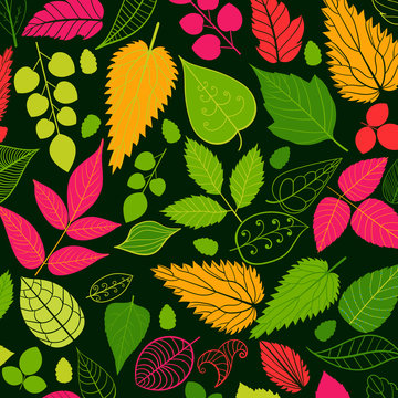 Colored pattern on leaves theme. Autumn pattern with leaves.Can