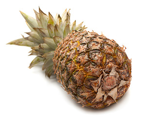 Pineapple fruit on white