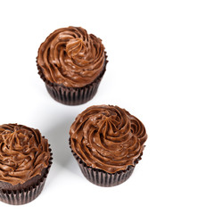 Chocolate Cupcake isolated on white background. Selective focus.