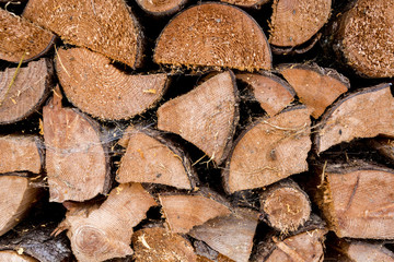 texture of chopped pine tree wood