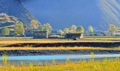 The outskirts of the beautiful autumn scenery