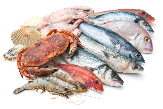 Fototapeta Sea food
