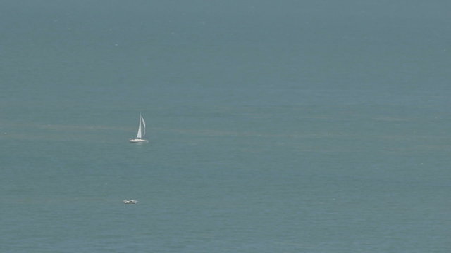 Yachts sailing on the sea