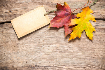 Sale tag with maple leaves