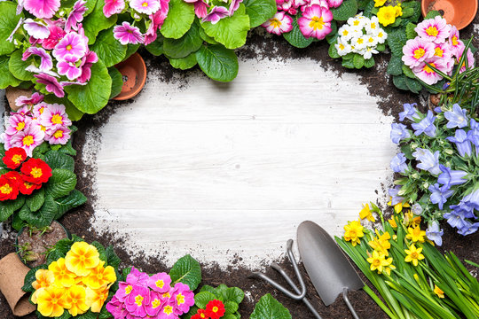 Frühling, Blumen, Gartenarbeit