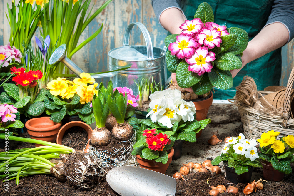 Canvas Prints gardener working in the flower garden